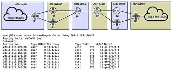 JN0-664: Service Provider Routing and Switching, Professional (JNCIP-SP) question 2